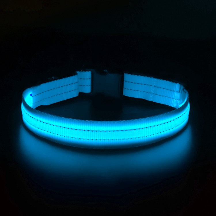 Innovative LED Dog Collar Innovative LED Dog Collar