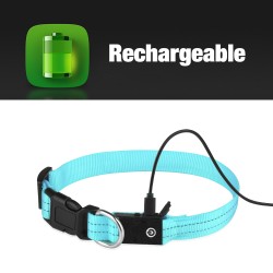Dog Collar
