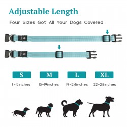 Innovative LED Dog Collar Products Working Service Fluorescent Illuminated Led Dog Collar