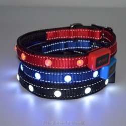 Innovative LED Dog Collar