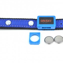 Dog Collar