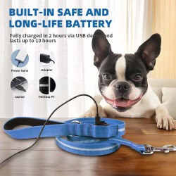 Custom LED Dog Leash Rechargeable LED Light up Dog Leash Safety Glow in the Dark Strap for Night Walking