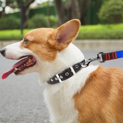 Breathable Leather Dog Collar