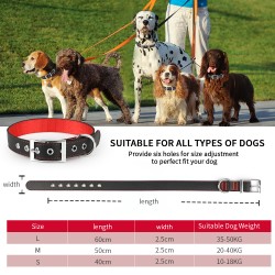 Dog Collar