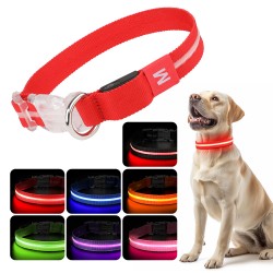 Night Walking Dog Collar