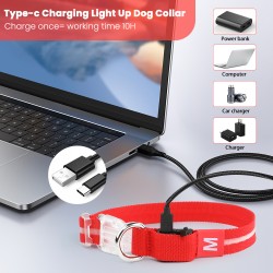 Walking Dog Collar