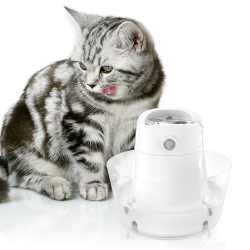 Cat Drinking Fountain