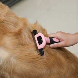 Flea Brush