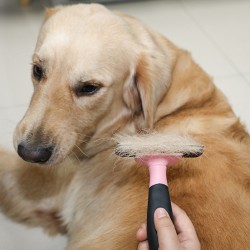 Cleaning Dog Flea Brush Pet Removal Hair Dog Comb for Dog and Cats