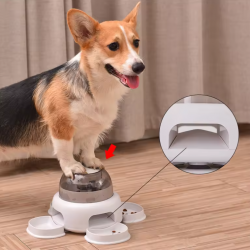 Pet Feeder Bowl