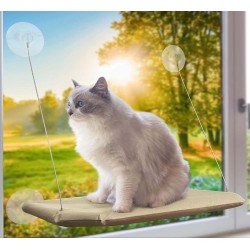 petpawjoy cat window bed best gift for kittens