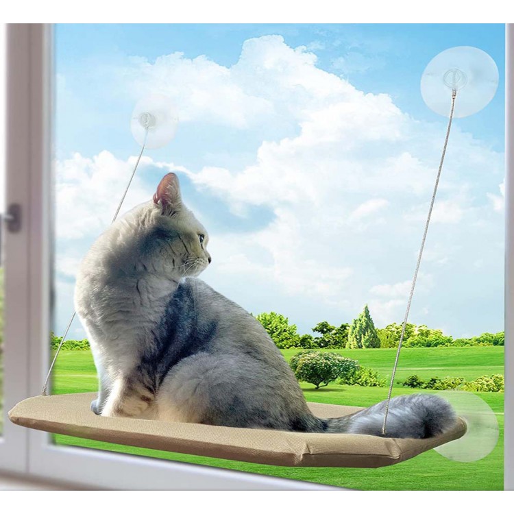 PETPAWJOY Cat Window Bed Suction Cups Space Saving Cat Window Perch Pet