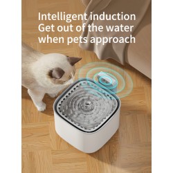 Pet Water Fountain