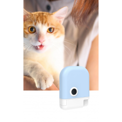Cats Training Feeders