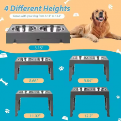 Dog Food Bowl