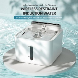 Water Dispenser