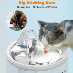 Water Fountain