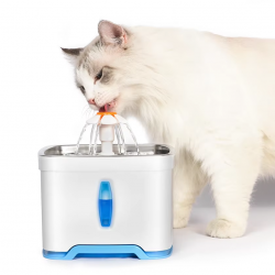Cat Drinking Fountain