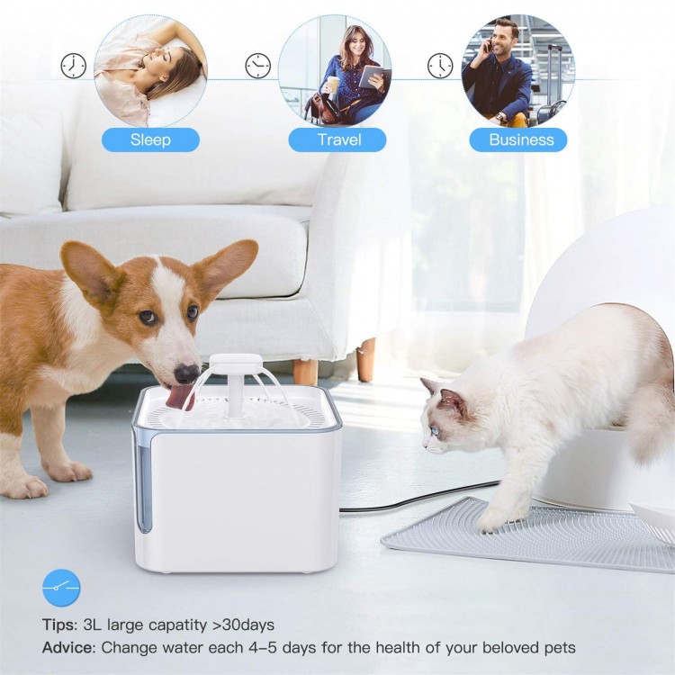 Custom Cats Water Dispenser Automatic Drinking Fountain