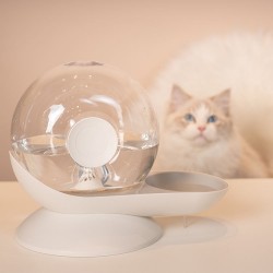Wholesale Pet Water Dispenser