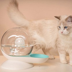 Pet Water Dispenser