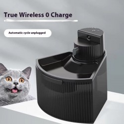 Cat Water Dispenser