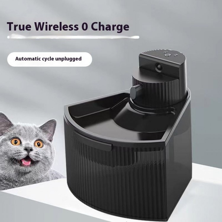 Cat Water Dispenser