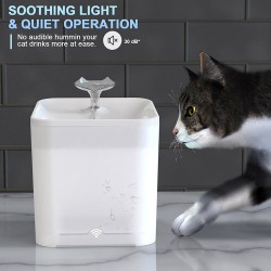 Water Dispenser