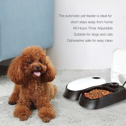 Dog Food Bowl