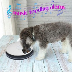 Pet Feeder