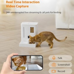Custom Pet Feeders Bowl and Water Dispensers Set Auto Refill