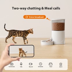 Custom Pet Feeder Bowl