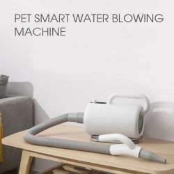 Hair Dryer