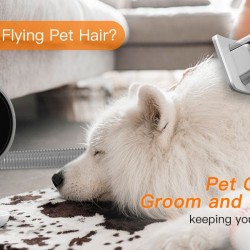 Vacuum Cleaner
