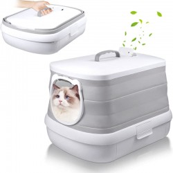 Box Toilet