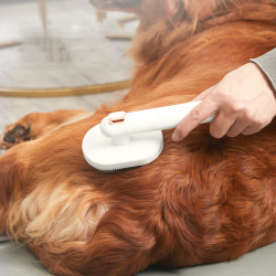 Cat Grooming Massage Slicker Dog Self Cleansing Shedding Hair Remover Comb Brush with Button