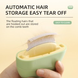 Massage Comb