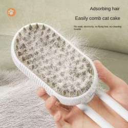 Spray Massage Brush
