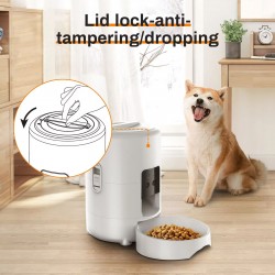 Pet Feeder Bowl