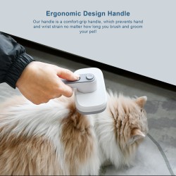 Pets Cleaning Hair Brush