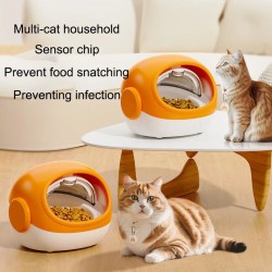 Pet Feeder Bowl