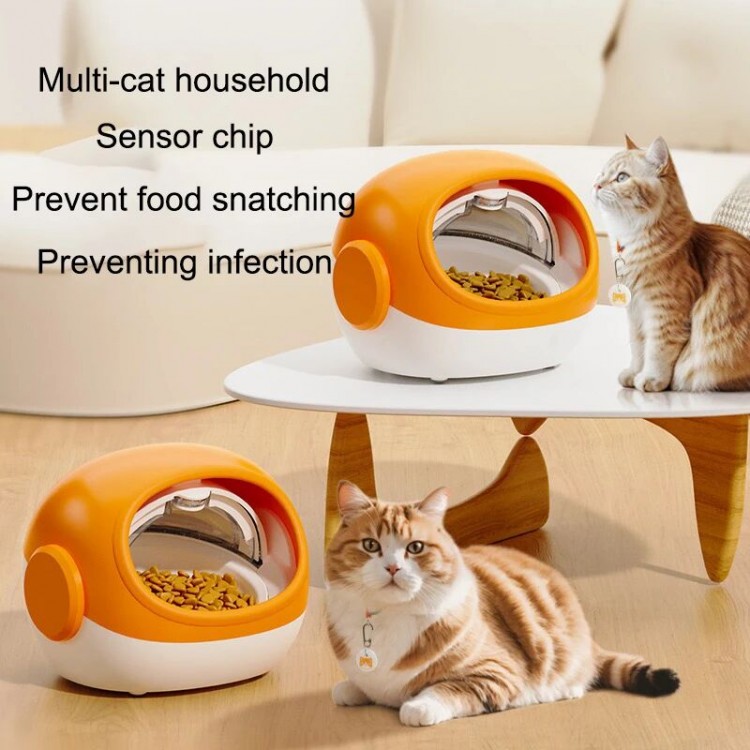 Pet Feeder Bowl Pet Feeder Bowl