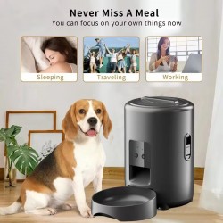 Cat Food Feeder