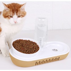 Food Bowl