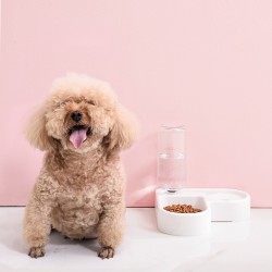Automatic Pet Drinking Bowl Non-wet Mouth Cat Water Basin