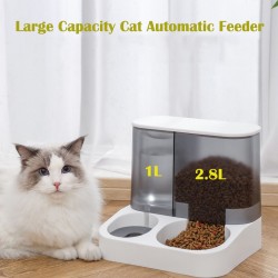 Dogs Food Feeder