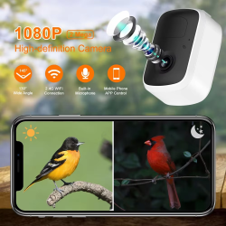 Wholesale Bird Food Feeder & Automatic Pets Feeding Bowl