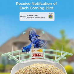 Custom Outdoor Bird Feeder with HD Camera Solar Powered