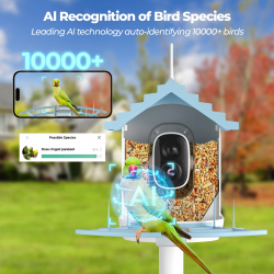 Bird Feeder