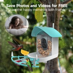 Bird Feeder Bowl